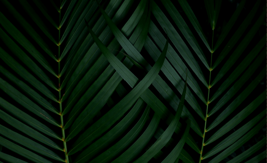 inner_01_02 https://qp1.9c6.mywebsitetransfer.com/wp-content/uploads/2020/03/inner_01_02.png